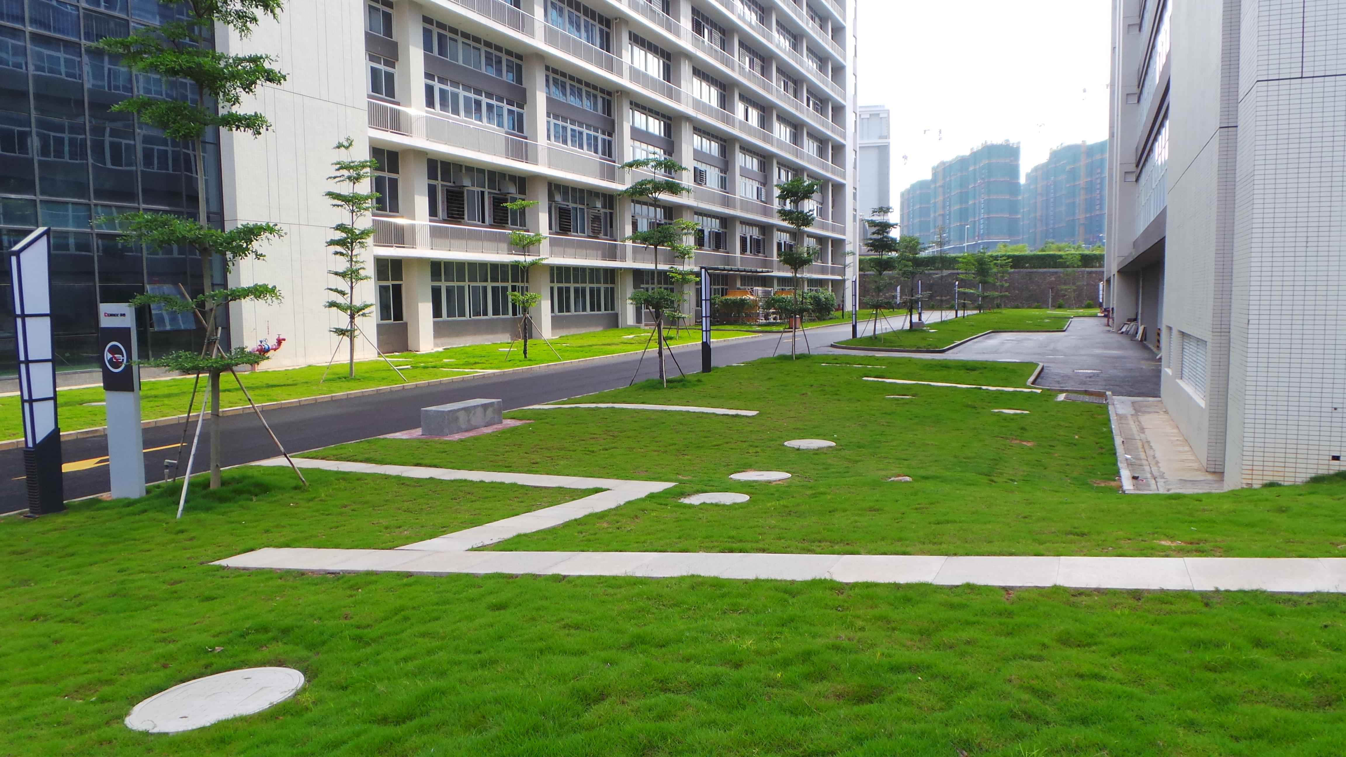 青岛绿化工程,庭院设计,绿植租赁,道路学校厂房绿化
